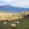 Clydach Gorge, west of Abergavenny